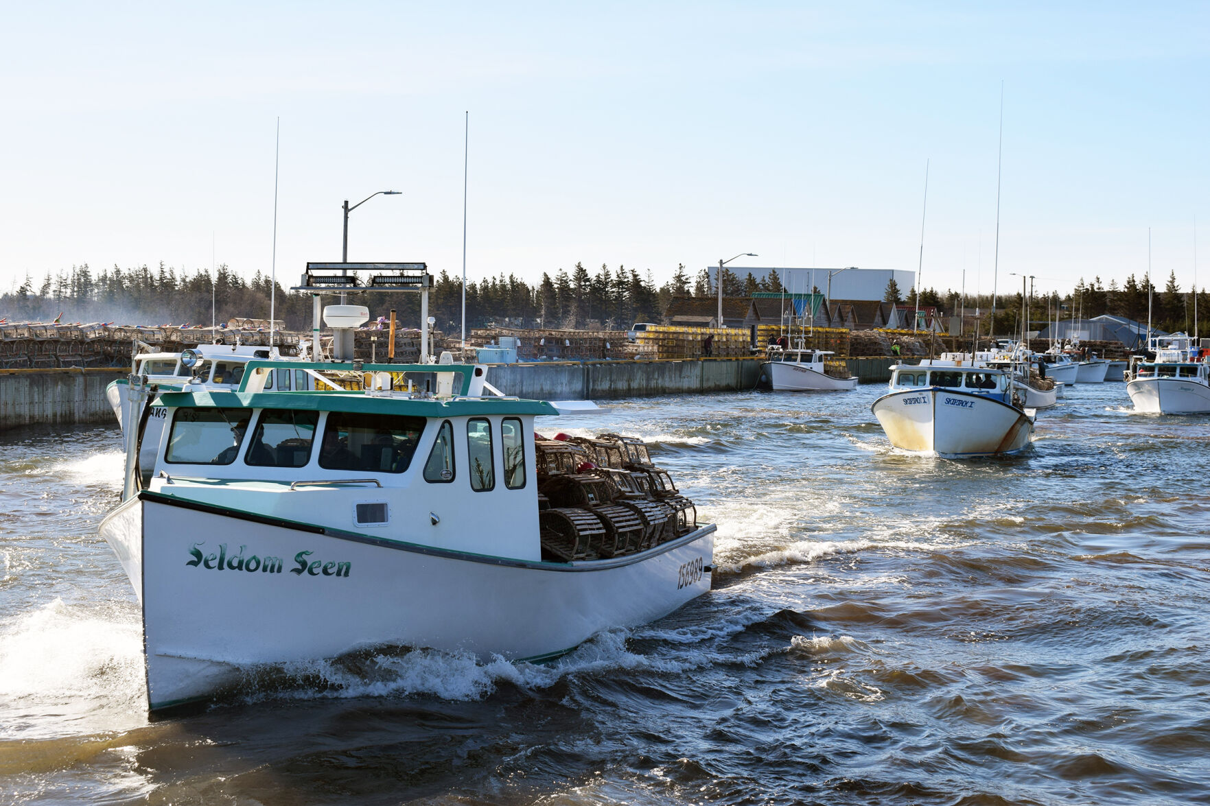 Red Head Harbour